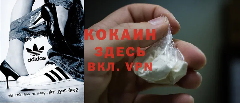 КОКАИН Fish Scale  Берёзовка 