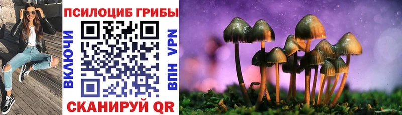 купить наркоту Берёзовка hydra ONION Галлюциногенные грибы мухоморы