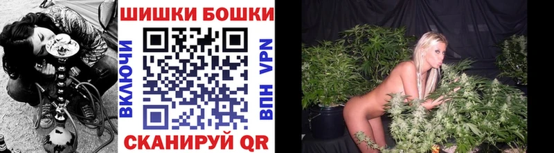 Каннабис индика Берёзовка